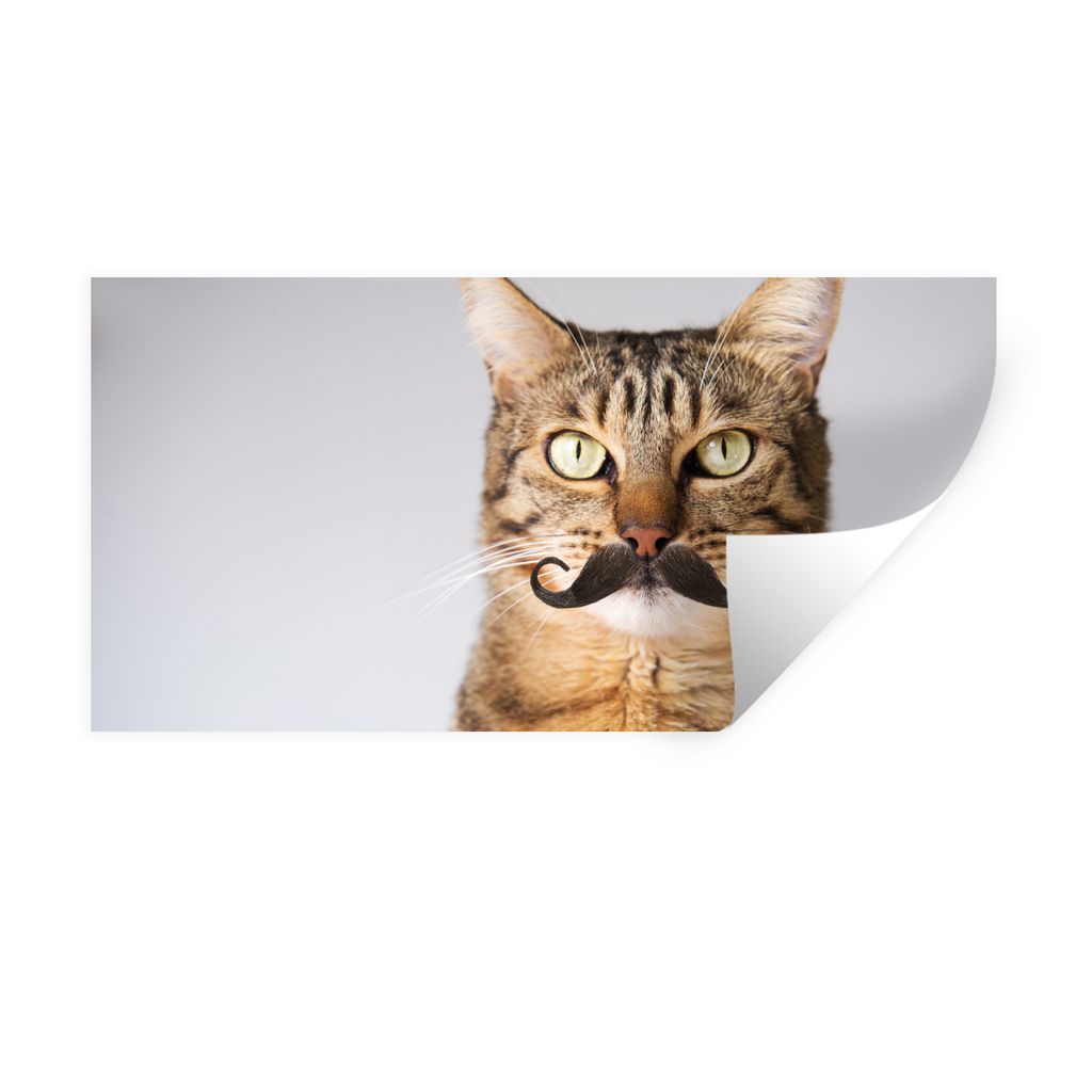 MuchoWow Wandtattoo Wandsticker Wandaufkleber Katze - Schnauzbart - Hipster 160x80 cm Selbstklebend und Repositionierbar - Sticker - Dekorfolie