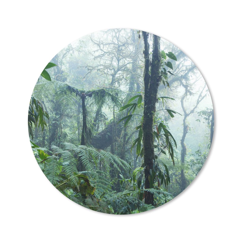 MuchoWow Mauspad Mousepad Ein nebliger Regenwald in Costa Rica 30x30 cm - Mousepads - Maus Mat - Pad - Mausunterlage - Tischunterlage - Schreibti...
