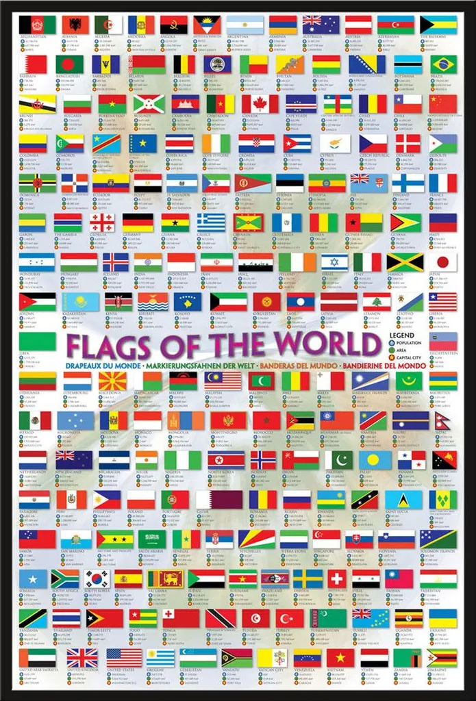 Décoration Murale École et Bureau : Affiche Drapeaux avec Cadre Noir Pro