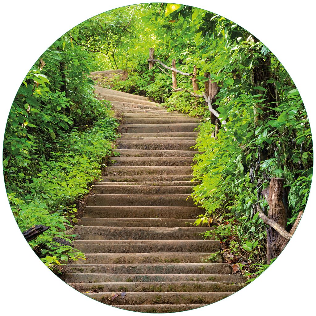 Wallario Premium Glasbild, freischwebende Optik, kräftige Farben, rund 50cm Durchmesser, Motiv Steintreppe im Wald