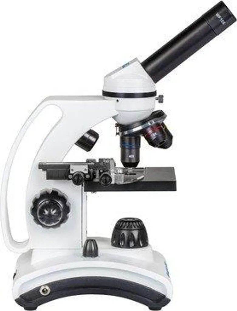 Microscope Delta Optical Biolight 300 avec Prise EU 220V One Size - 2