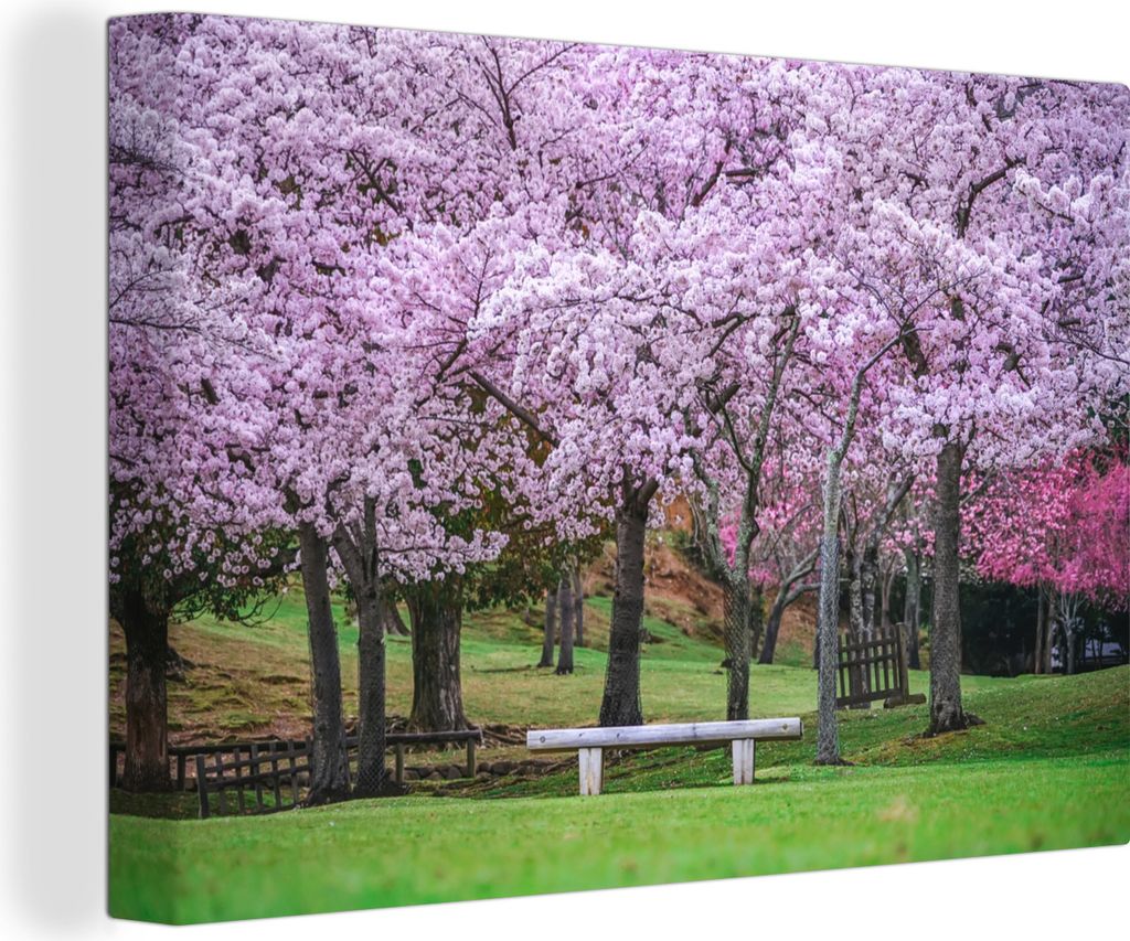 OneMillionCanvasses - Leinwandbilder - 150x100 cm, Nara - Park - Sakura, Wandbilder Kunstdruck Wanddekoration
