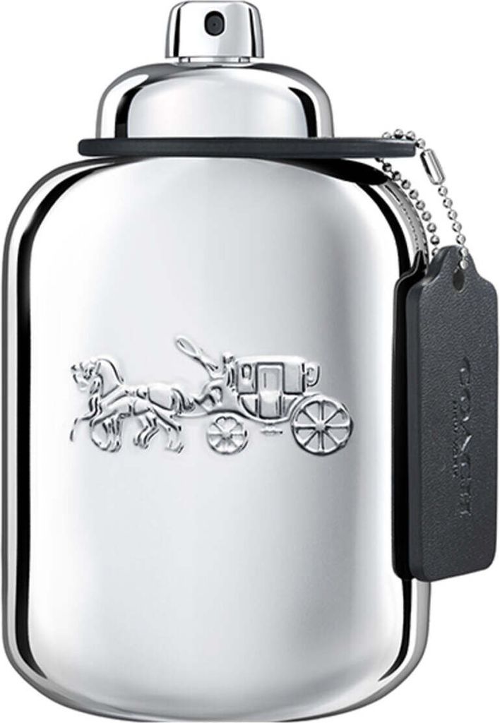 PLATINUM EDP für Männer, 100 ml Produktbild 