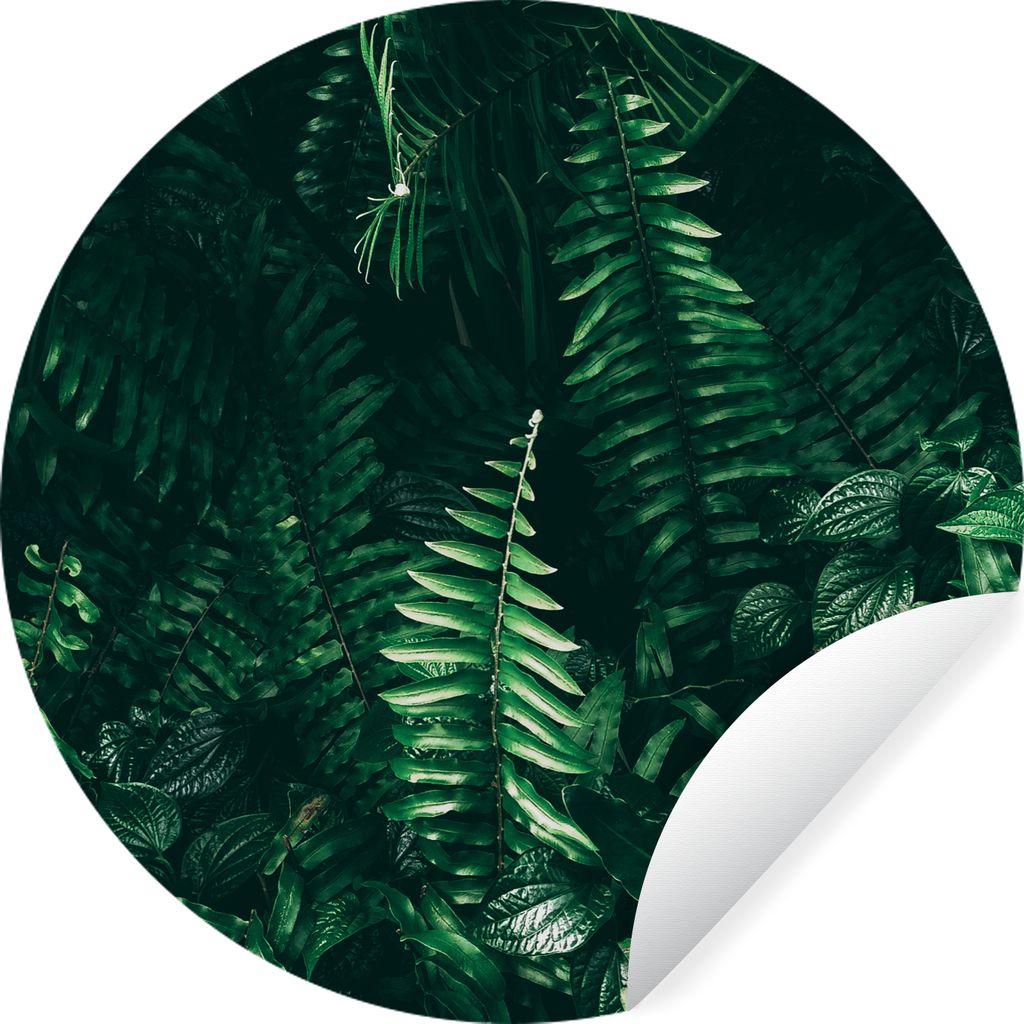 MuchoWow Runde Wandtattoo - Wandsticker Tapete Aufkleber Blätter - Dschungel - Natur - Tropisch - Pflanzen Ø 50 cm Selbstklebend und Reposition...