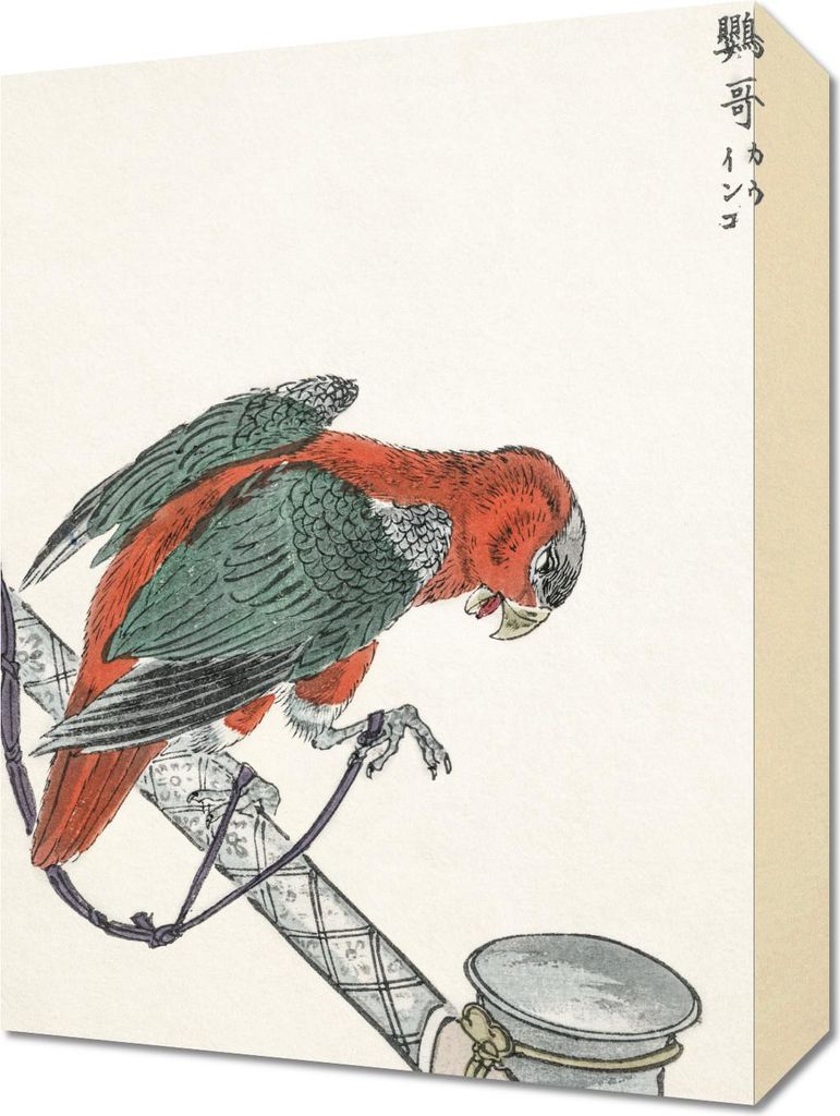 Bild 30x40cm Ara, Vintage Japanisch Kashu für das Wohnzimmer