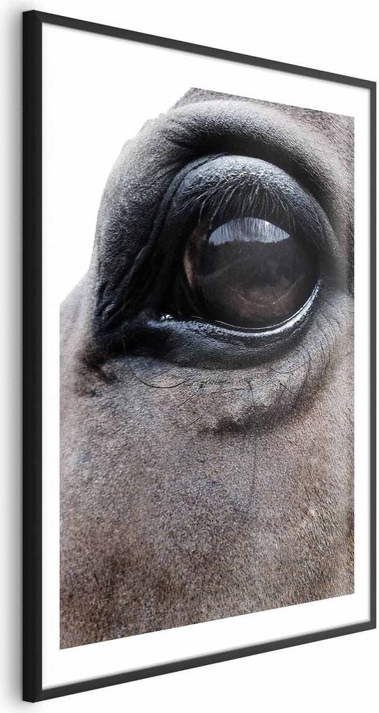 Posterpapier Poster - Honest Eyes 60x90 cm Tiere g-A-0201-ao-a
