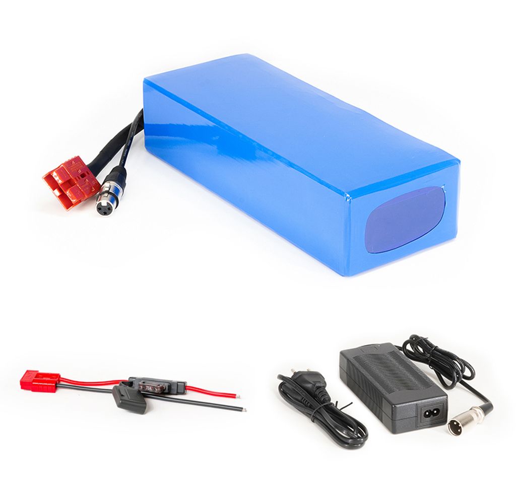 Lithium-Ionen Akku 24V 25Ah 600Wh Akkupack inkl. 60A BMS & Ladegerät für E-Scooter E-Bike Pedelec Camping Boot