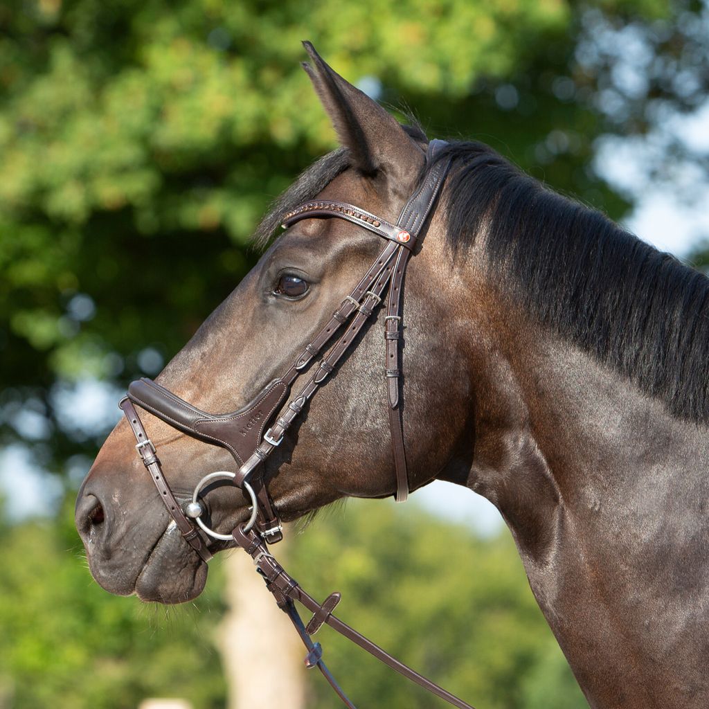 Kieffer Trensenzaum Ultrasoft Celia in zwei Farben, Farbe:braun / braun unterlegt, Größe:Warmblut