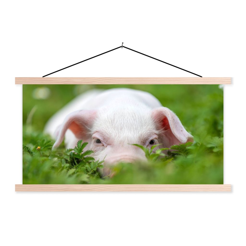 MuchoWow Textilposter Schwein - Tiere - Groß 120x60 cm mit holzfarbenen Rahmen - Klemmleiste