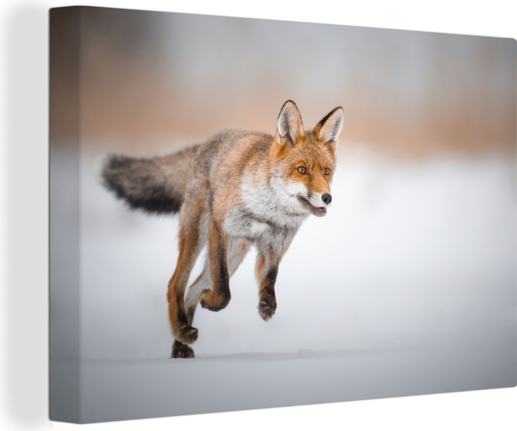 OneMillionCanvasses - Leinwandbilder - 140x90 cm, Fuchs - Jagd - Schnee, Wandbilder Kunstdruck Wanddekoration