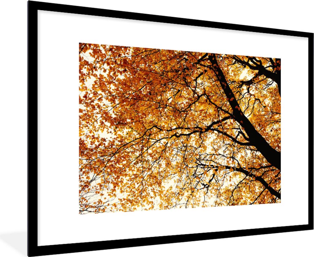 MuchoWow Gerahmtes Poster Baum - Herbstblätter - Jahreszeiten - Rustikal 90x60 cm - Poster mit Schwarzem Bilderrahmen Wandposter Rahmen Foto Bil...