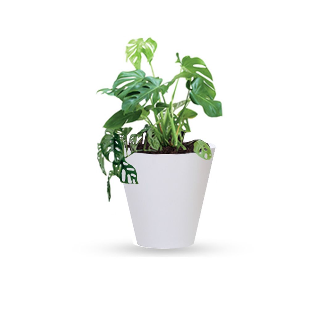 Blumentopf Blumenkübel TUBUS DTUB200 20cm Weiß