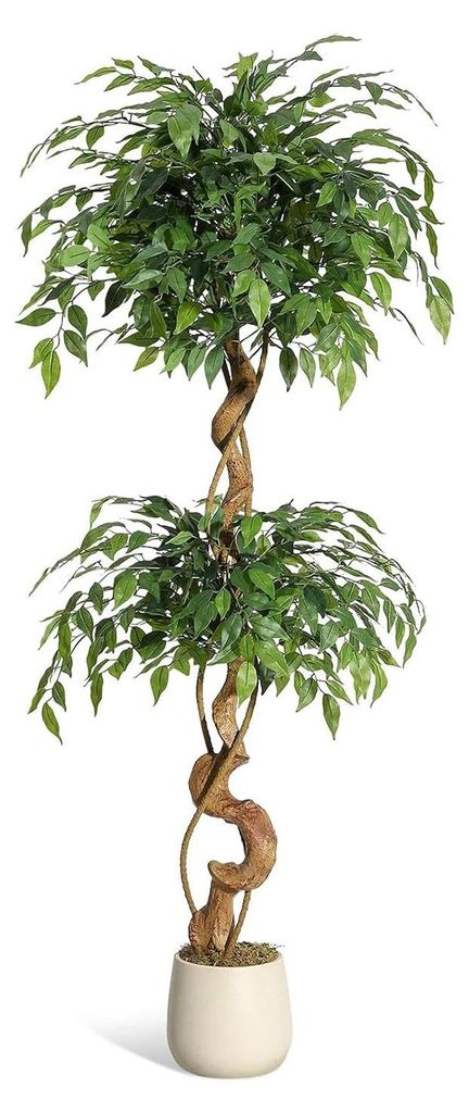 Künstlicher Ficus - Kunstpflanze Baum - 150 cm - Gebogene Stämme - Weißer Topf - Kunststoffblätter - Für Außenbereich - Grün