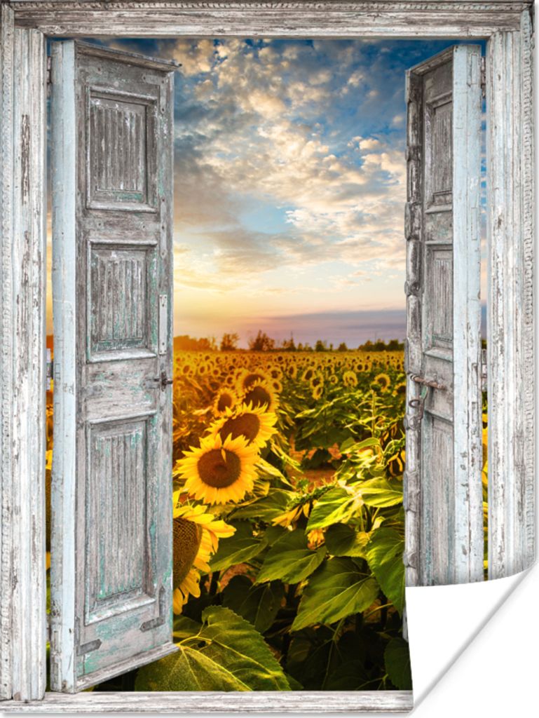 MuchoWow Poster Transparent - Sonnenblume - Blumen - Sonne 60x80 cm - Schlafzimmer Dekoration