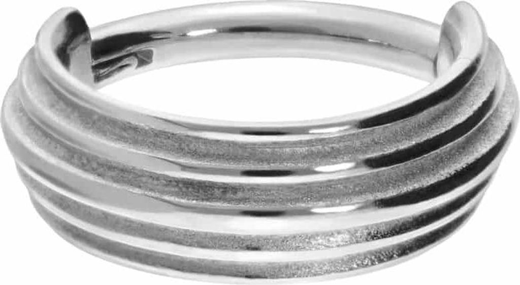 Ohrpiercing, Nasenpiercing, Septum Piercing Chirurgenstahl Segmentring Clicker 5 RINGE Silber Innendurchmesser: 8 mm