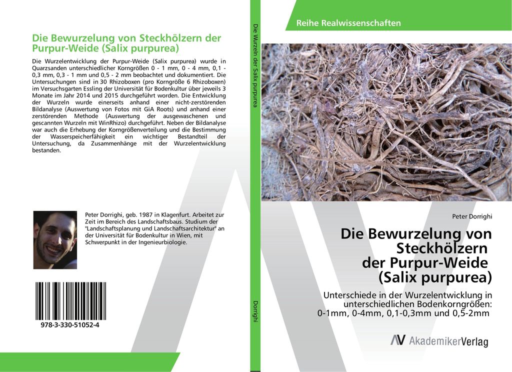 Die Bewurzelung von Steckhölzern der Purpur-Weide (Salix purpurea)