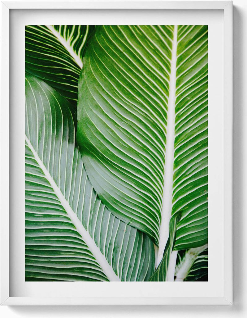 Exotische grüne Blätter– Wandbild mit Rahmen – Gerahmtes Bild – Wanddekoration – 60x80 cm – Weiß Rahmen