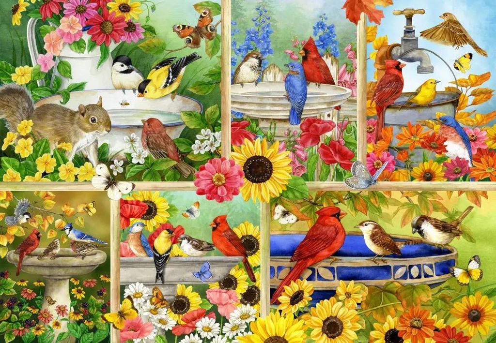 Bluebird Puzzle Puzzle Feathers and Company - 1000 Teile