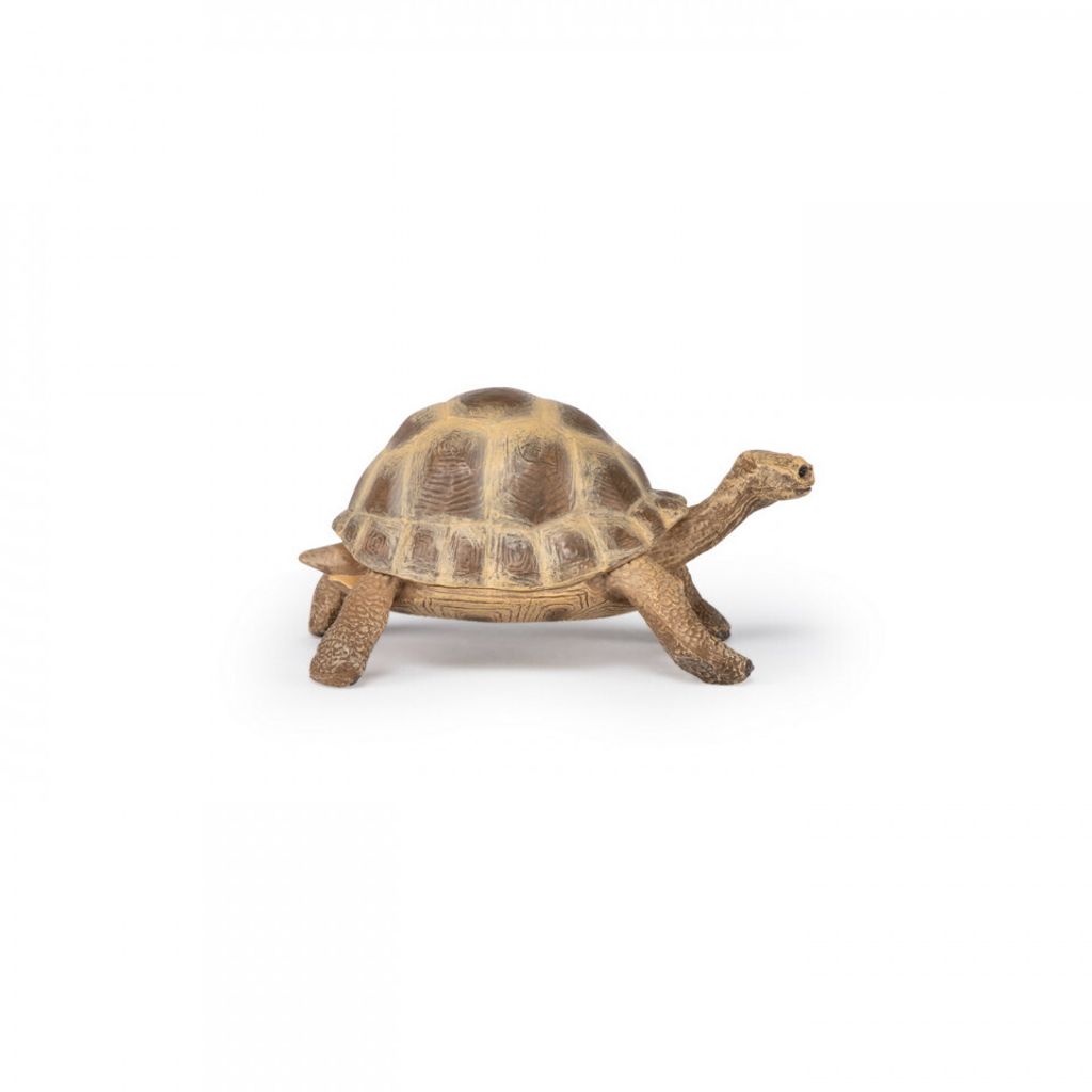 Papo Wild Life Schildkröte 50264 Produktbild 
