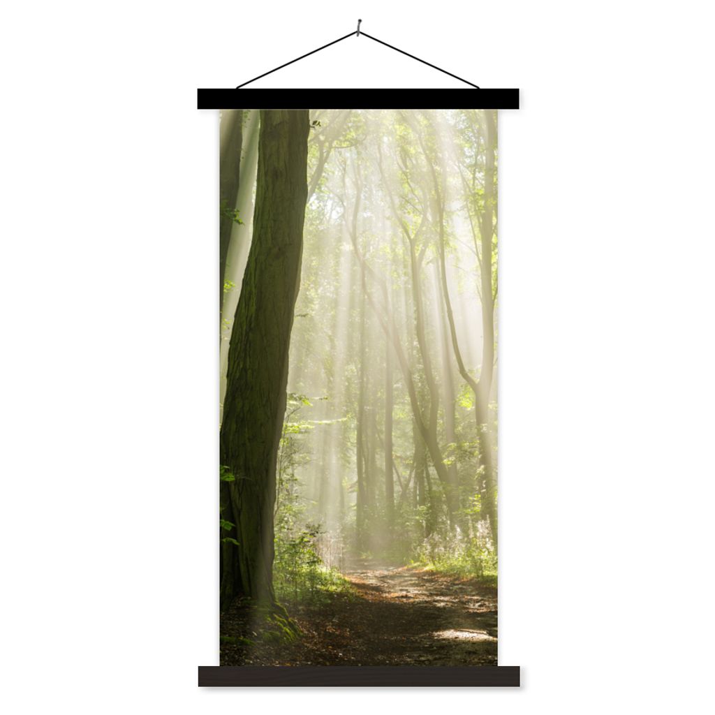 MuchoWow Textilposter Wald - Licht - Natur - Landschaft 60x120 cm mit schwarzem Rahmen - Magnete