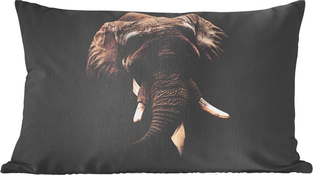 MuchoWow Zierkissen Sofakissen Wohnzimmer Dekokissen 60x40 cm Alte Meister - Elefant - Anzug - Kopfkissen - Polster mit Foto