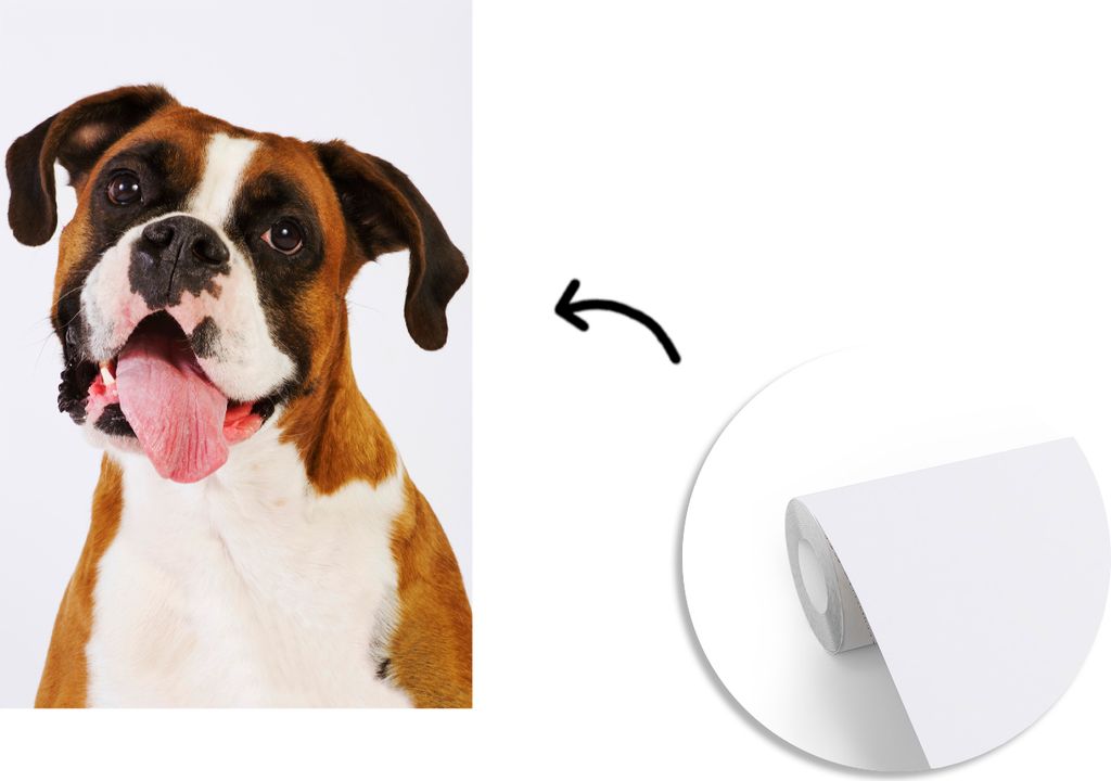 MuchoWow Fototapete für Wohnzimmer oder Schlafzimmer Wandtapete Vinyl Motivtapete Boxer mit Zunge aus dem Maul - 190x280 cm - Küche