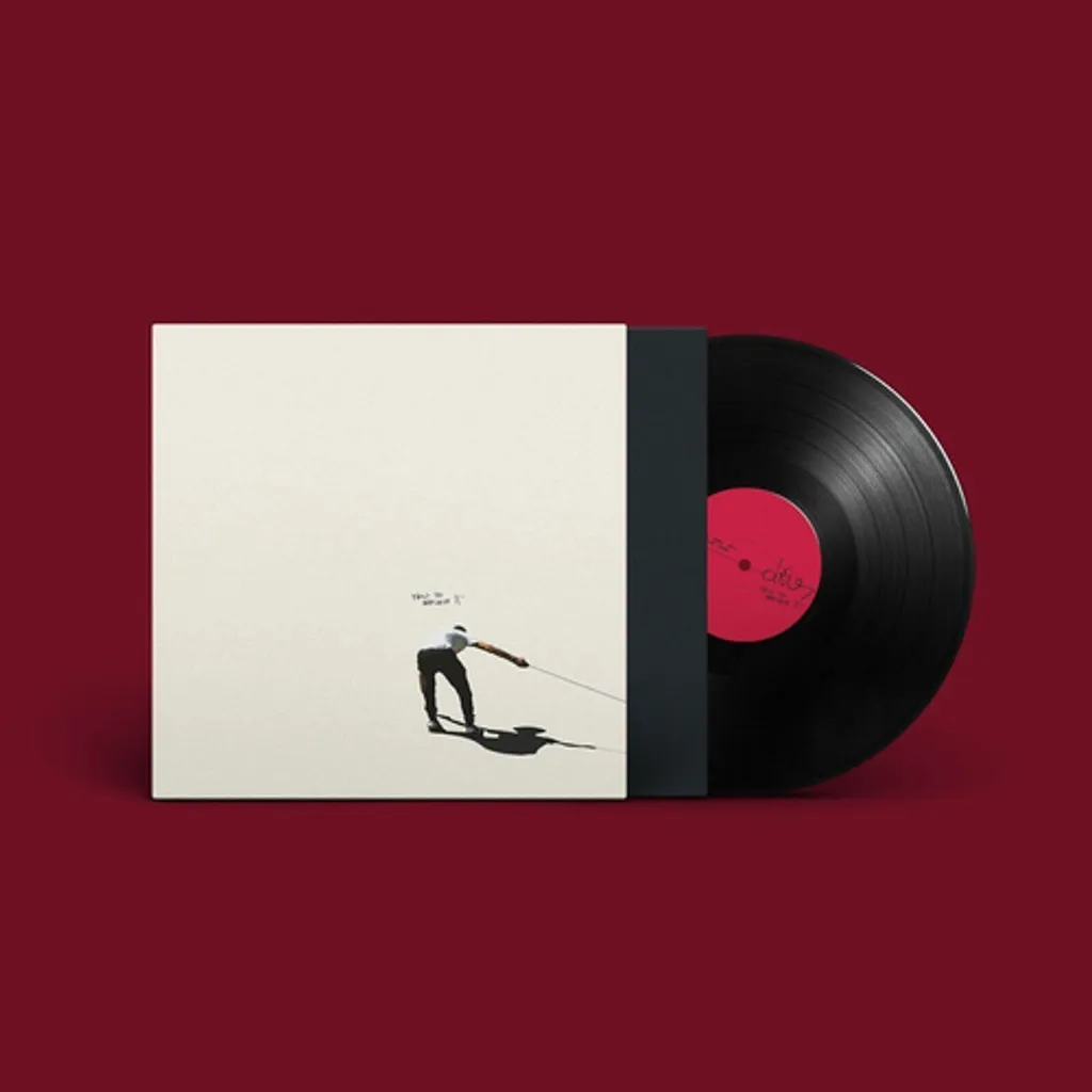 Album dEUS How To Replace It Edition LP H Son Haute Fidélité