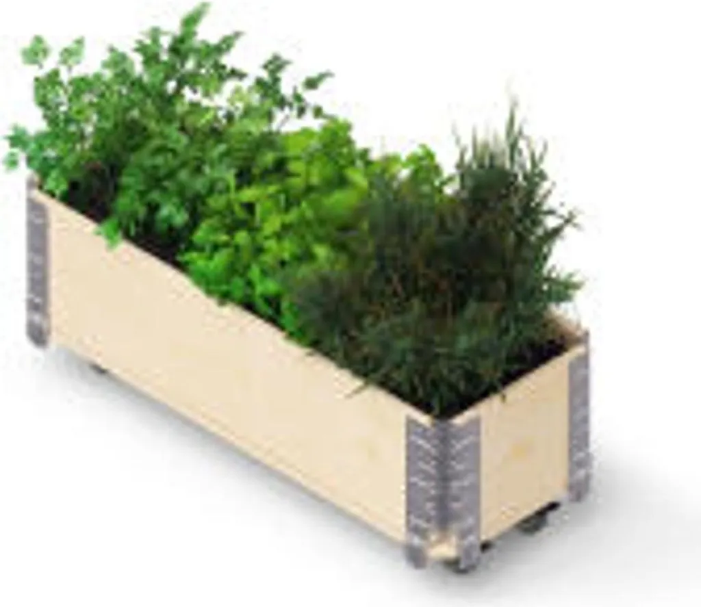 Boîte à herbes en bois : fini le désordre, cultivez vos légumes facilement - 2