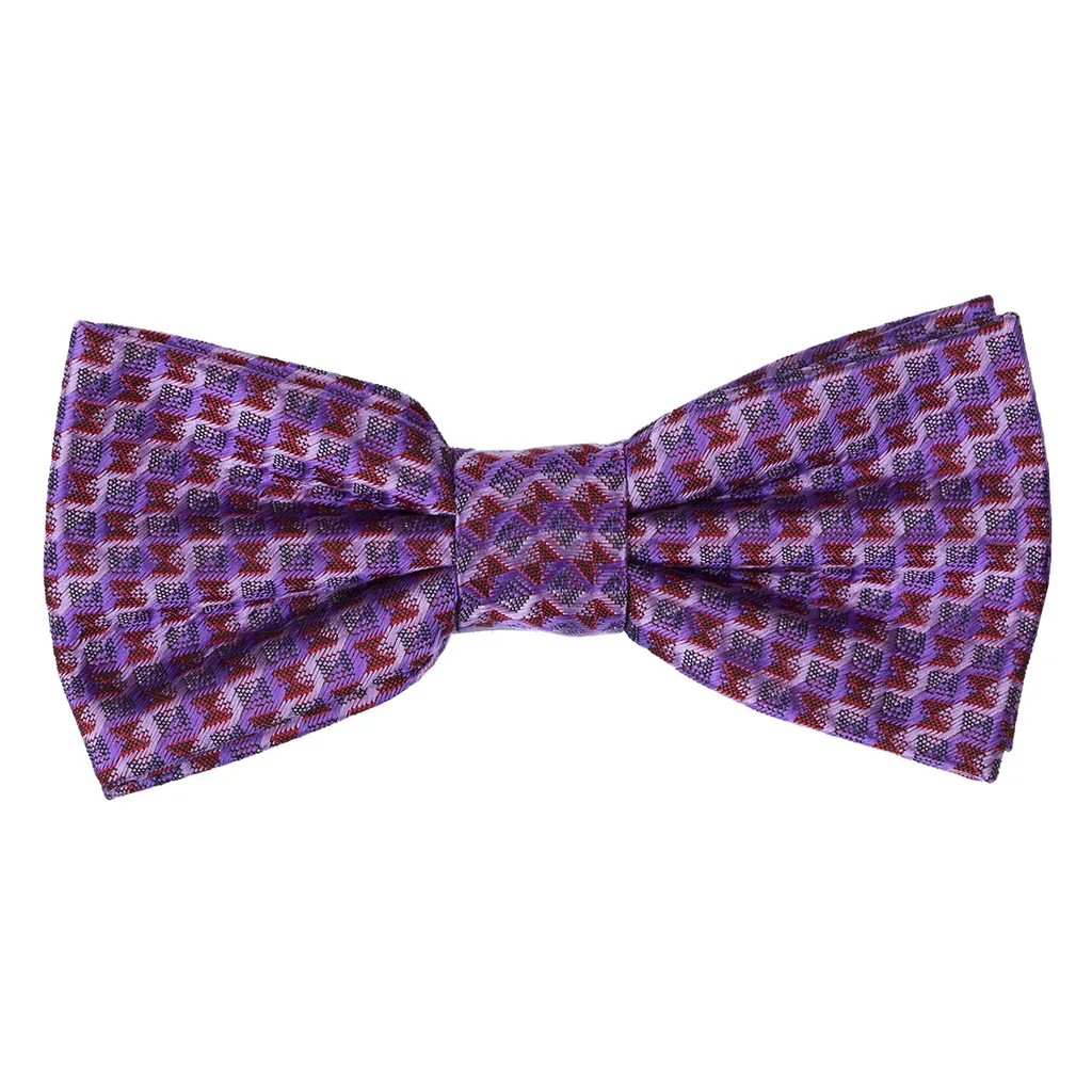 Papillon Chattier da uomo con fazzoletto Primavera viola - universale