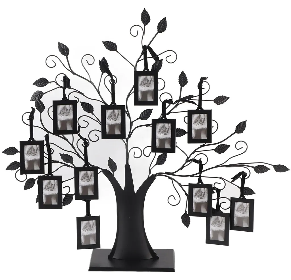 Arbre avec Cadres Photos Suspendus Décoration de Maison Moderne M