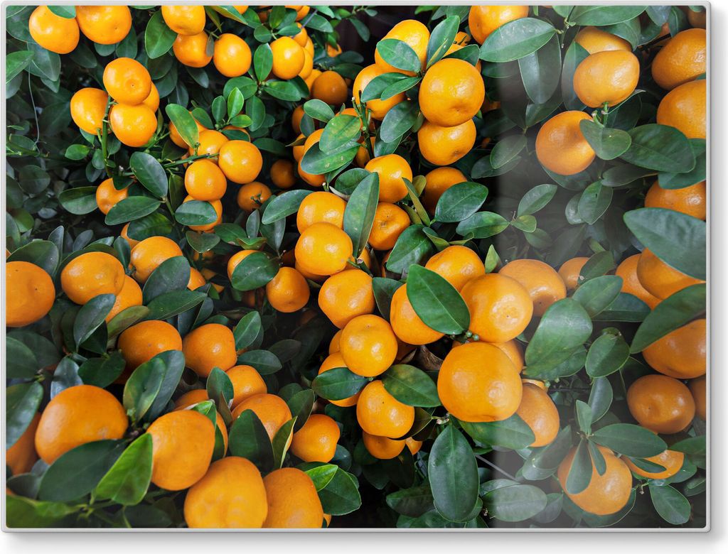 DEQORI Schneidebrett Glas 40x30 cm 'Mandarinenbaum nah' Schneideplatte groß