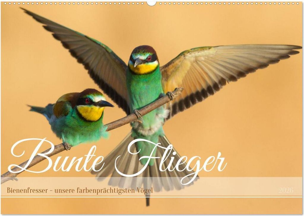 Bunte Flieger (Wandkalender 2026 DIN A2 quer), CALVENDO Monatskalender