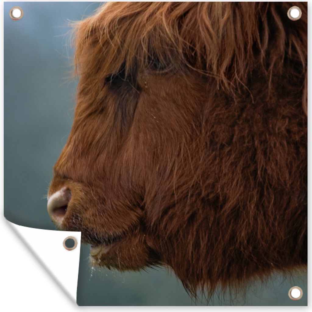 MuchoWow 100x100 cm Outdoor-Poster Gartendeko Sichtschutz Garten Poster für den Garten Schottische Highlander - Tiere - Nebel
