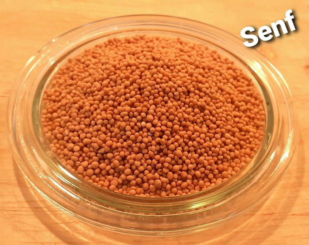 LanDixx Senf Gelbsenf Saatgut 5 kg Gründüngung Zwischenfrucht Weißsenf Senfsaat Körner