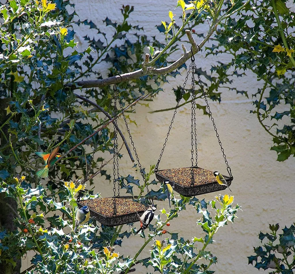 Mangeoire fine en métal avec chaîne inox pour nourrir les oiseaux du ciel
