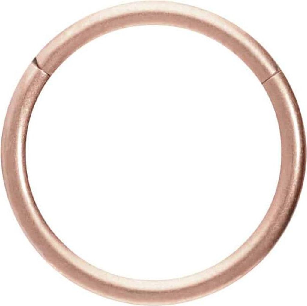 Ohrpiercing, Nasenpiercing, Septum Piercing Titan Segmentring Clicker MATT RoséGold Innendurchmesser: 9mm + Stabstärke: 0,8mm