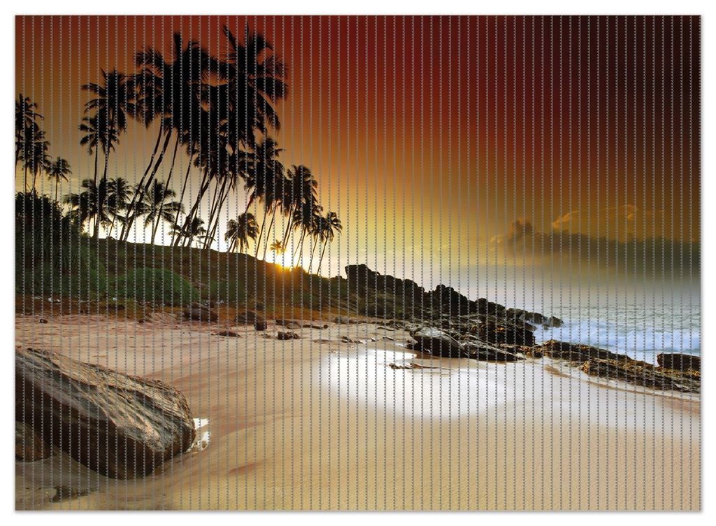 Wallario Duschmatte Antirutschmatte Badmatte Fußmatte Sri Lanka - Palmenstrand mit Sonnenuntergang, Größe ca. 90 x 65 cm