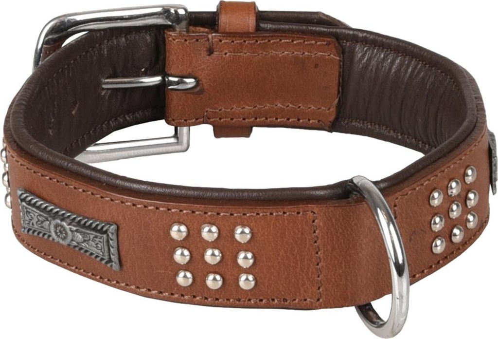 Flamingo Halsband Sedona Leder mit Nieten braun, Maße: 34-40 cm / 37 mm
