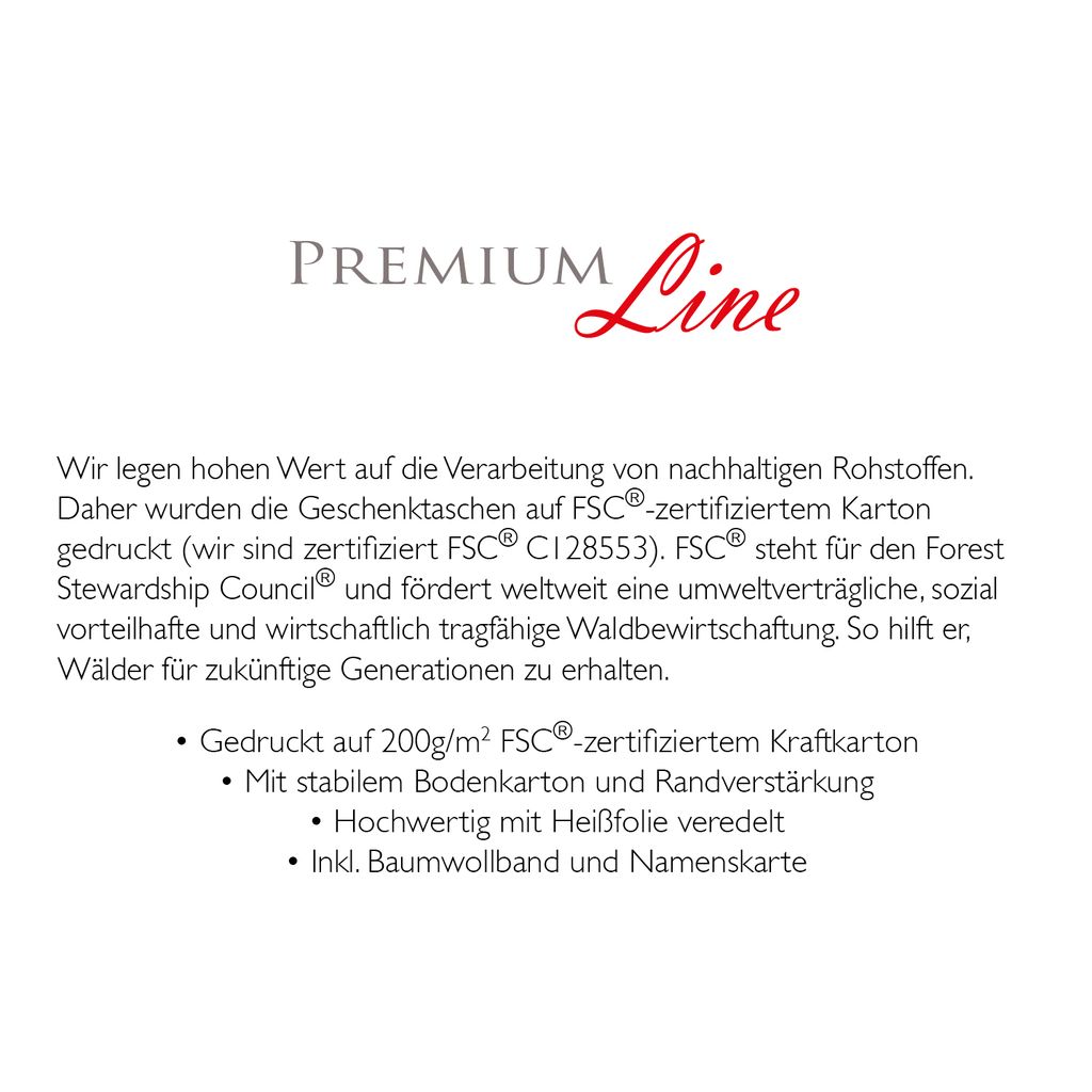 PremiumLine Geschenktaschen 6 Stück edle Geschenktüten Produktbild 5