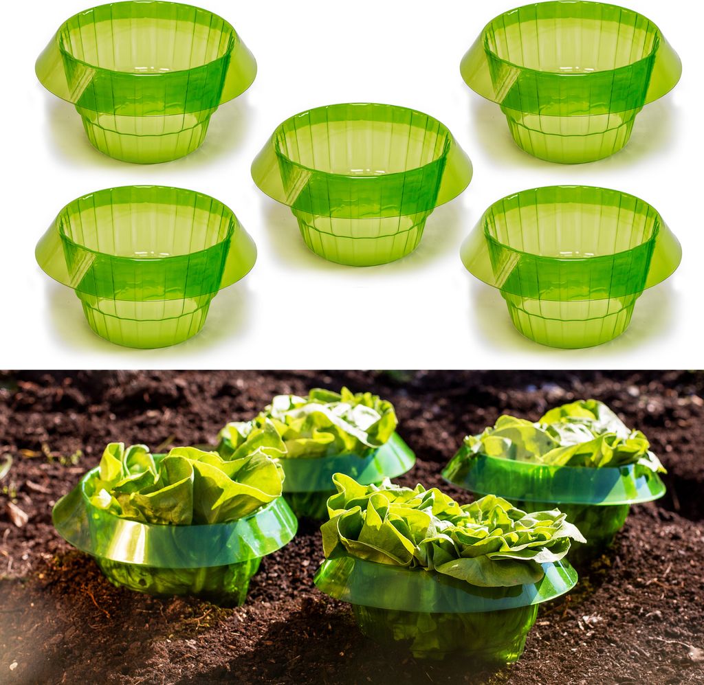 Pflanzenschutzring Salatringe 20 Stück Ø 19 cm 12 cm hoch Produktbild 
