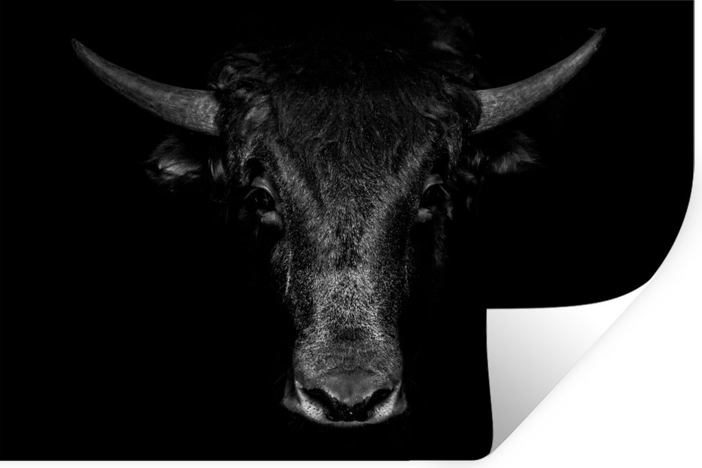 MuchoWow Wandtattoo Wandsticker Wandaufkleber Taurus - Tiere - Schwarz - Weiß 120x80 cm Selbstklebend und Repositionierbar - Selbstklebend - Fot...