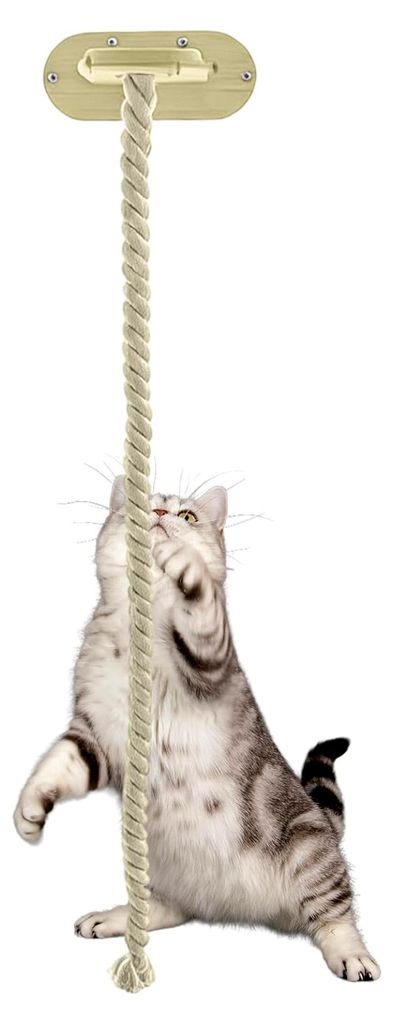 Kratzseil für Katzen mit Kletteraktivität, interaktives Spielzeug mit Fenster | Kletterspielzeug 150 cm - für Haus, Flur, Schlafzimmer, Wohnzimm...
