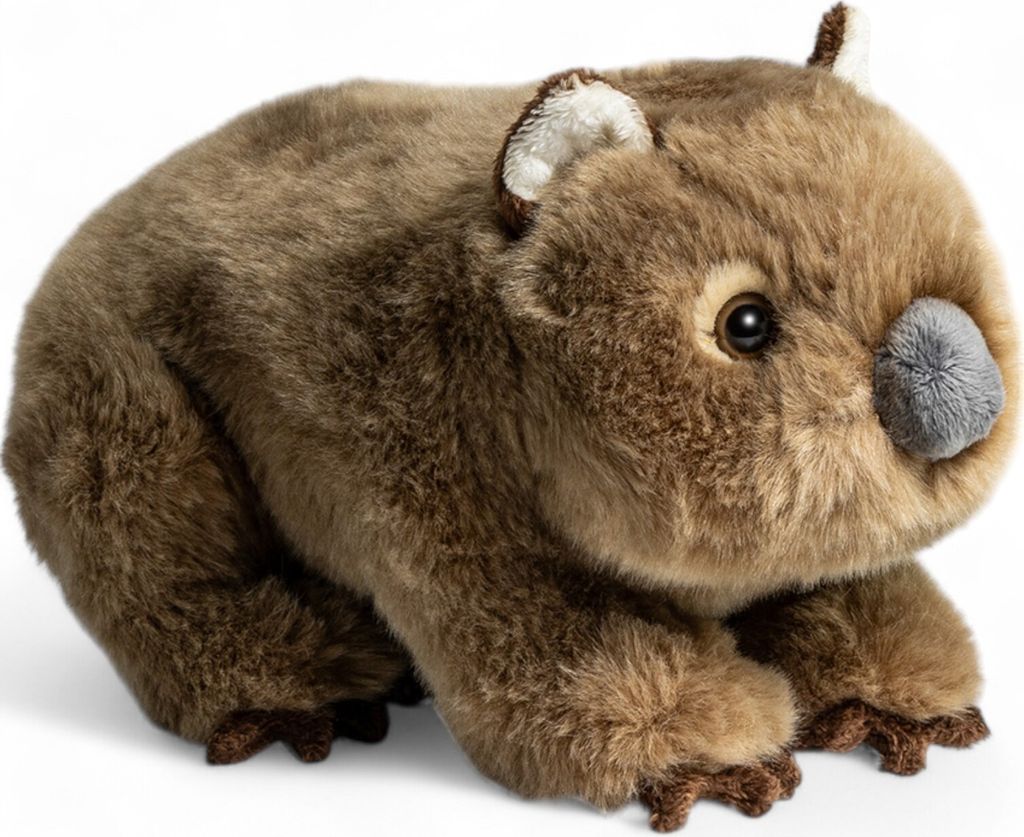 A plush toy wombat is shown against a white background.