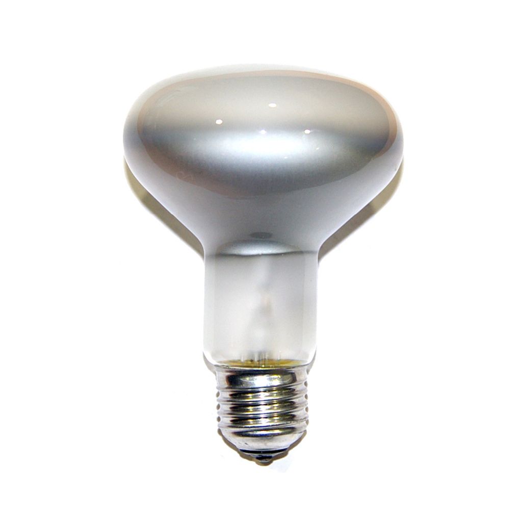 Leuci Reflektor Glühbirne R80 100W Glühlampe E27 Spot Produktbild 