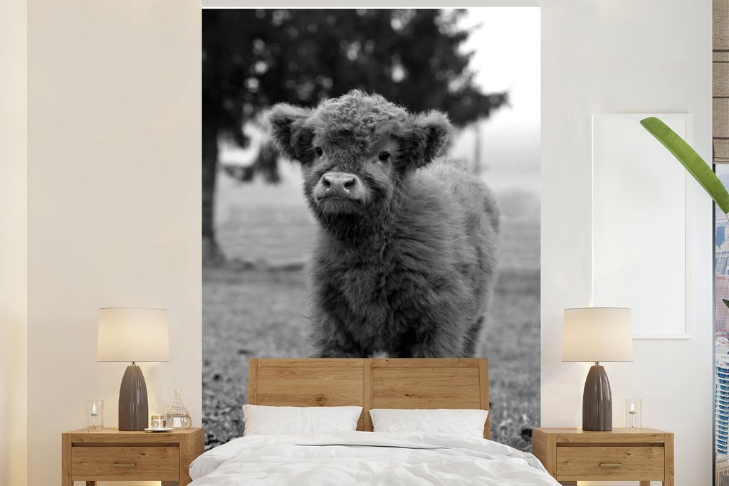 MuchoWow Fototapete für Wohnzimmer oder Schlafzimmer Wandtapete Vinyl Motivtapete Neugieriges Kalb Schottischer Hochländer - schwarz und weiß ...
