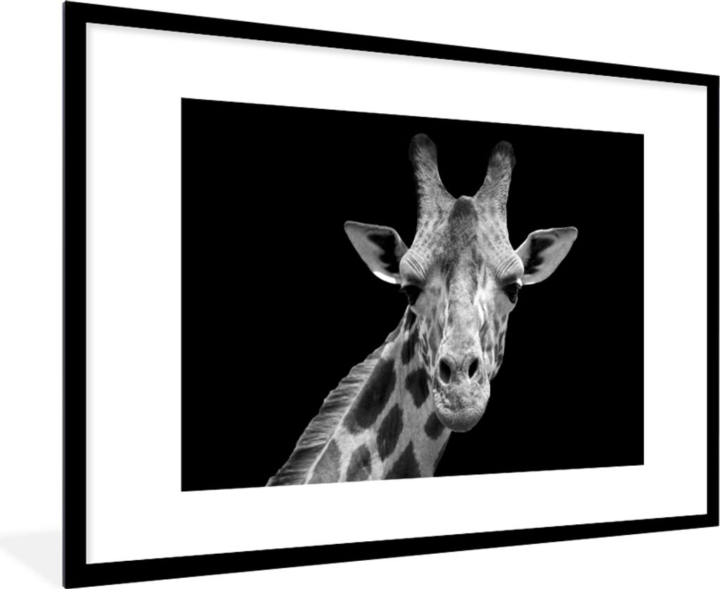 MuchoWow Gerahmtes Poster Giraffe - Wildtiere - Schwarz-Weiß - Porträt 90x60 cm - Poster mit Schwarzem Bilderrahmen Wandposter Rahmen Foto Bild...