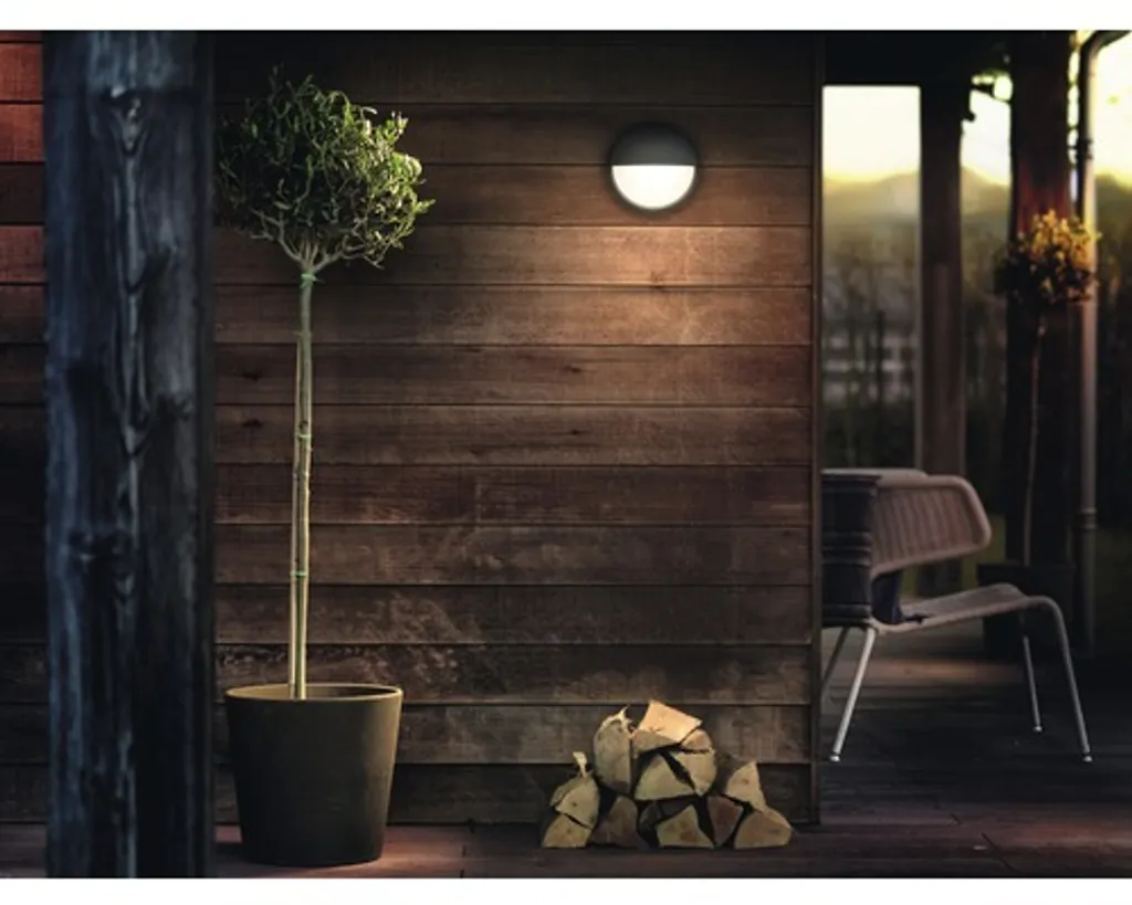 Applique murale LED extérieure ronde Philips Capricorne Anthracite