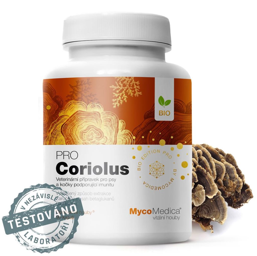 Coriolus PRO 90 gélules Image du produit 