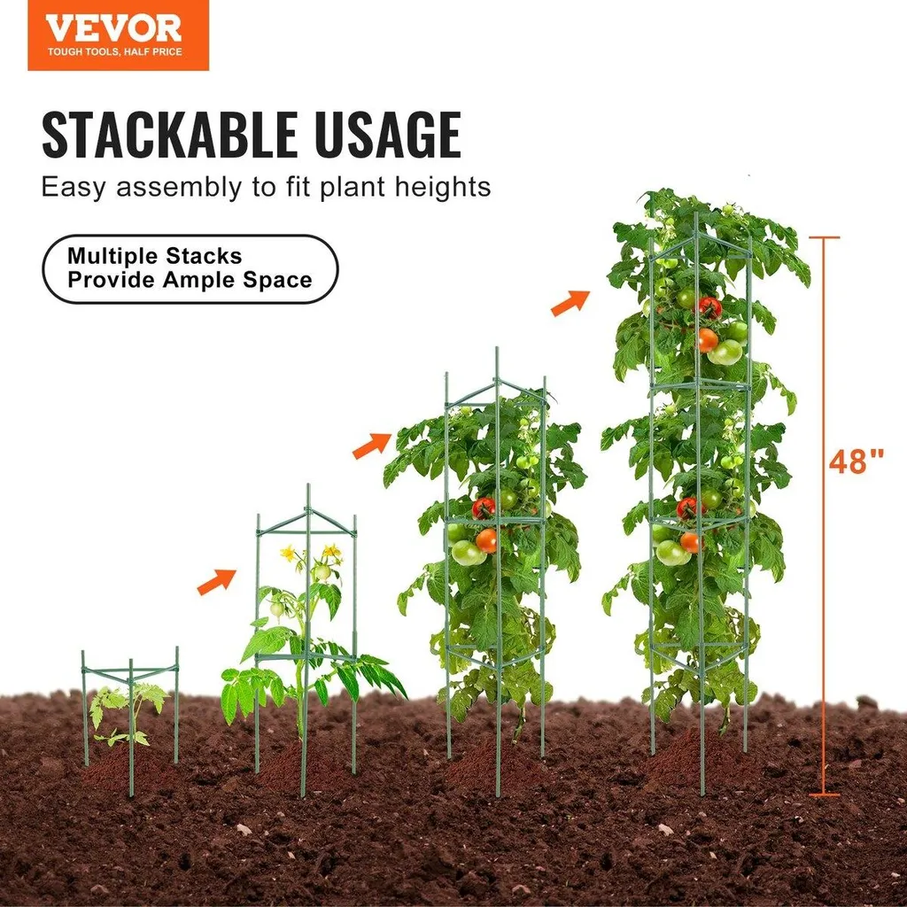 Supports pour Plants de Tomates 122 cm - Kit de 6 Tuteurs Verticaux XL - 2