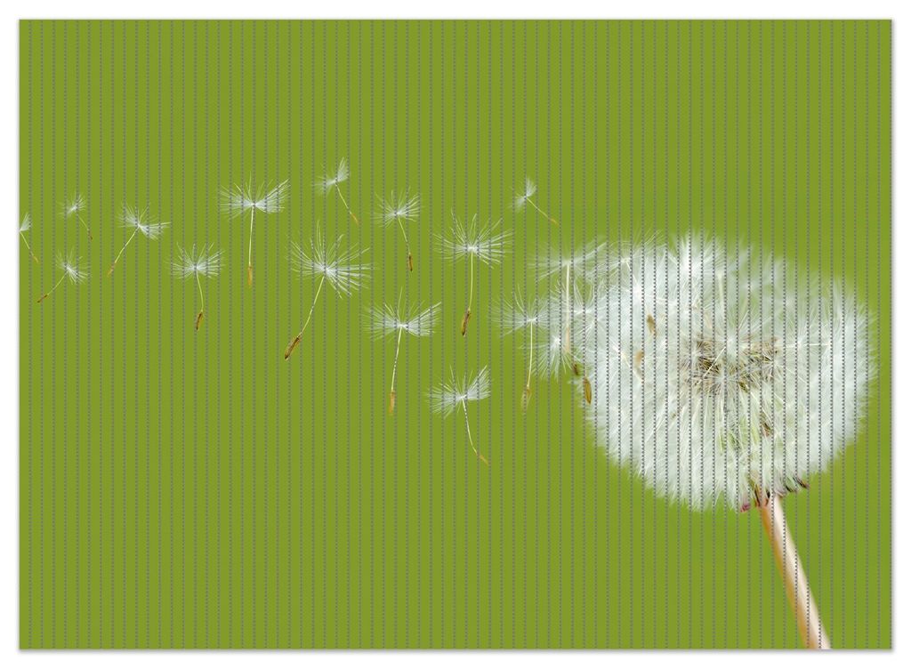 Wallario Duschmatte Antirutschmatte Badmatte Fußmatte Pusteblume auf der Wiese mit fliegenden Samen, Größe ca. 90 x 65 cm